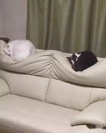 爆料沙发搞笑视频下载 第1张 爆料沙发搞笑视频下载 第1张